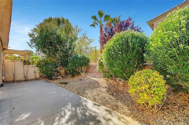 view of yard featuring a patio area