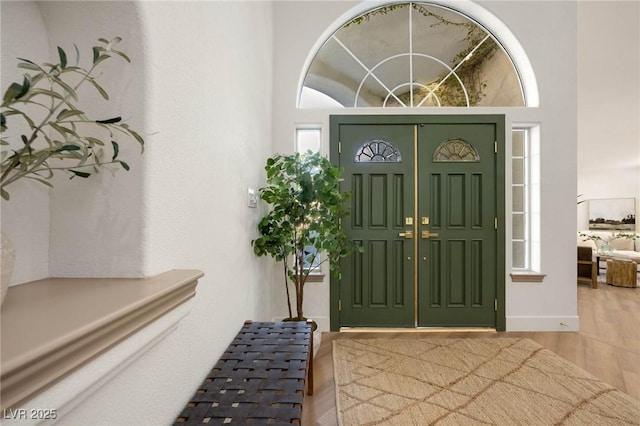 entrance foyer featuring wood-type flooring