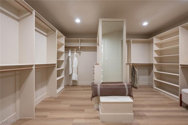 walk in closet featuring wood finished floors