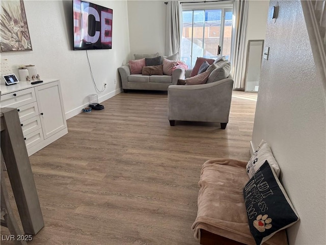 living room featuring hardwood / wood-style floors