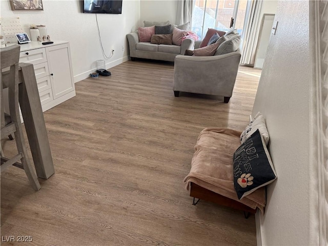 living room featuring wood-type flooring