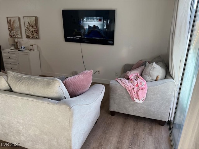 living room with hardwood / wood-style flooring