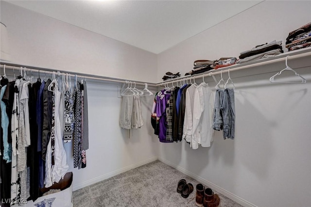 walk in closet featuring carpet flooring