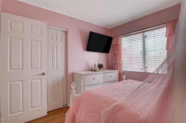 bedroom featuring light wood-type flooring and a closet