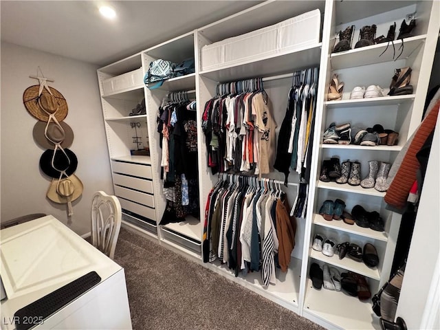 spacious closet featuring carpet floors