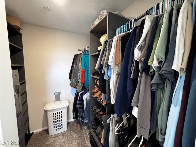 walk in closet with dark carpet