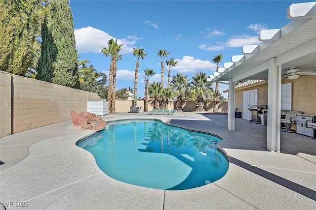 view of swimming pool with a patio