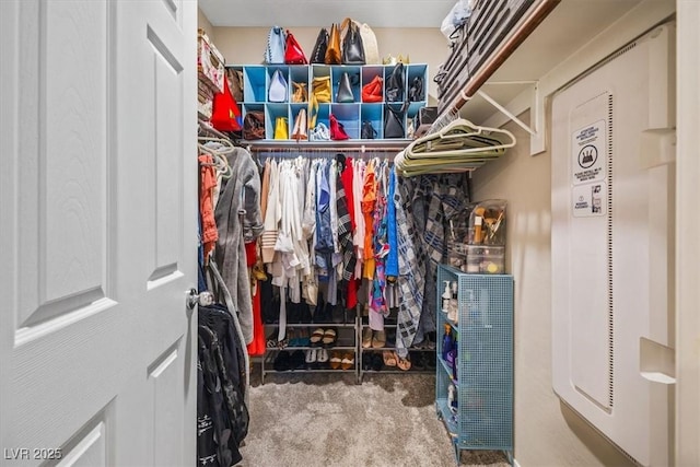 spacious closet featuring carpet