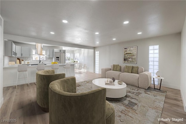 living room featuring light hardwood / wood-style flooring