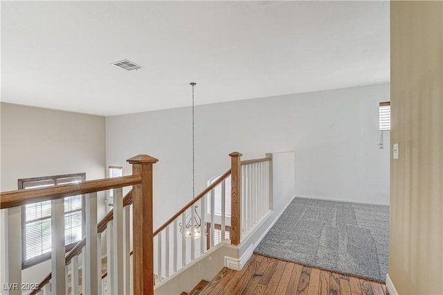 hall with hardwood / wood-style floors and a wealth of natural light