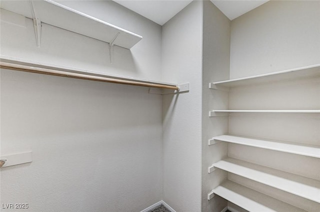 view of walk in closet