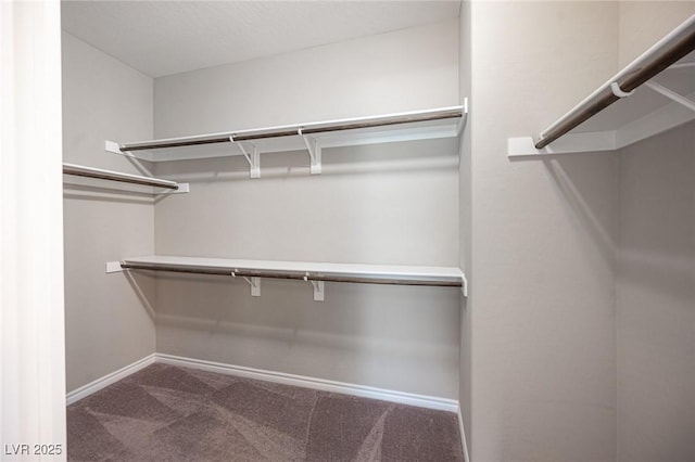 walk in closet featuring carpet floors