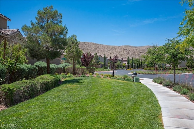 view of yard featuring a mountain view