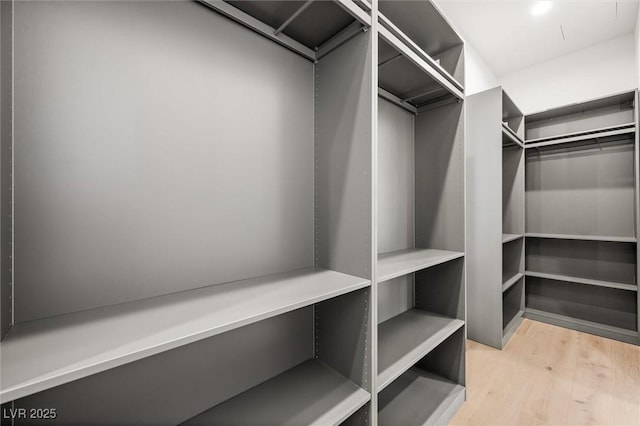 walk in closet with light wood-type flooring