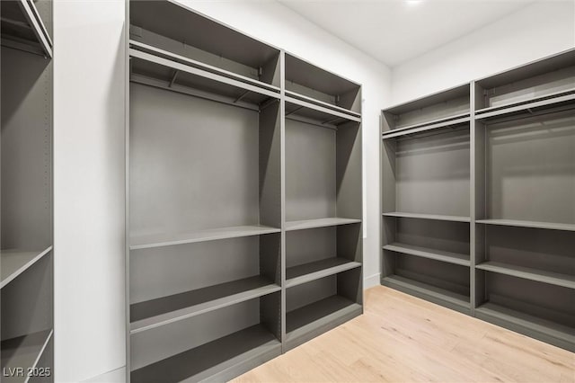 walk in closet featuring light hardwood / wood-style flooring