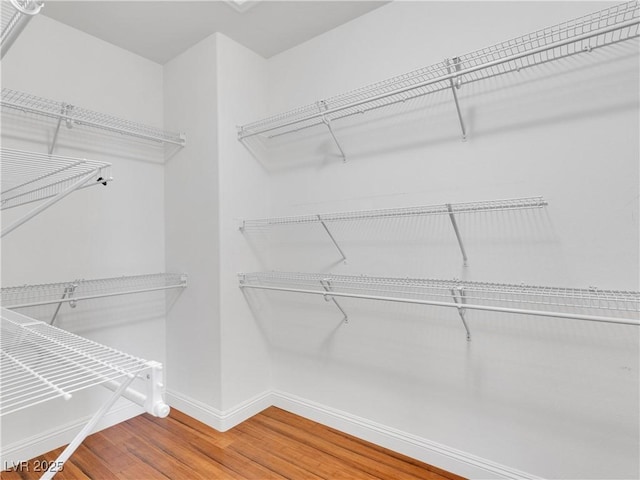 walk in closet with hardwood / wood-style floors