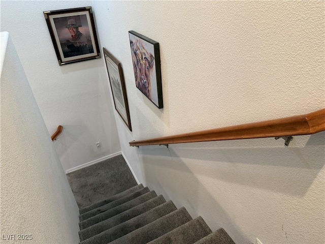 stairway with carpet floors