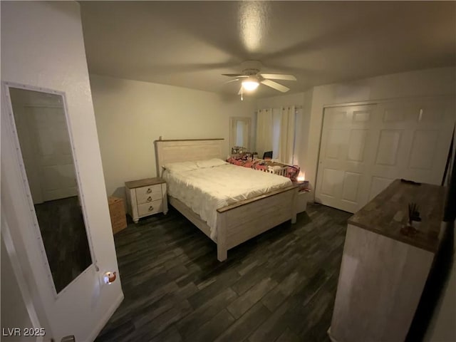 bedroom featuring ceiling fan and dark wood-type flooring