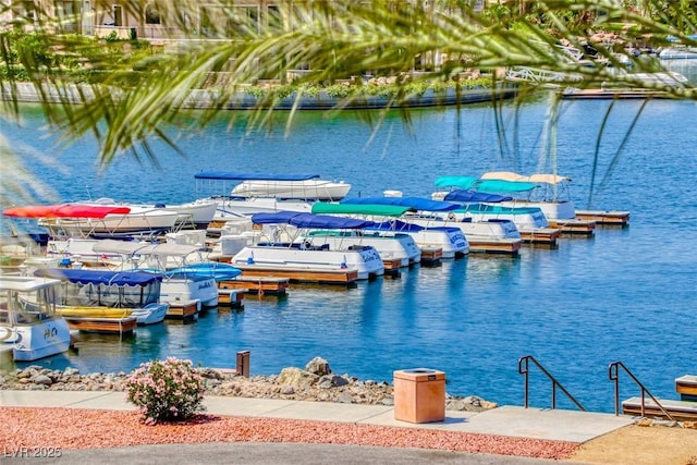 dock area with a water view