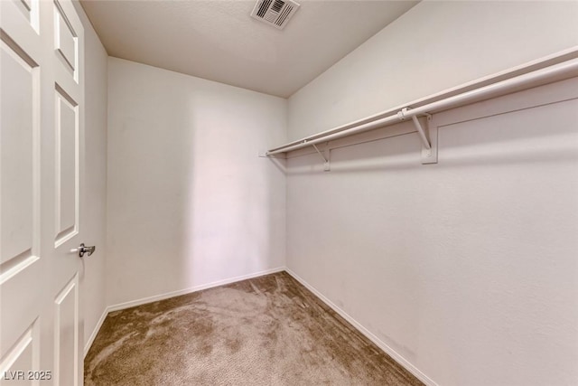 walk in closet with carpet flooring