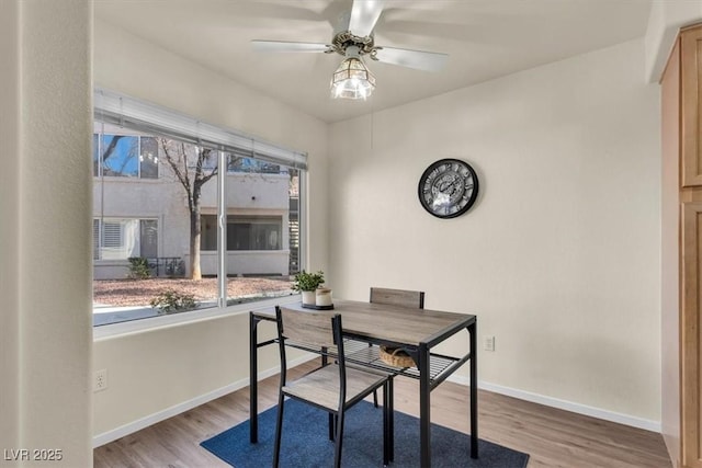 dining area featuring ceiling fan and light hardwood / wood-style flooring