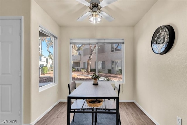 dining room featuring ceiling fan, plenty of natural light, and hardwood / wood-style flooring