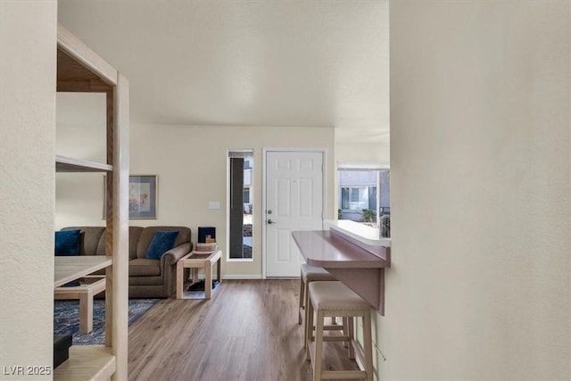 foyer featuring hardwood / wood-style floors