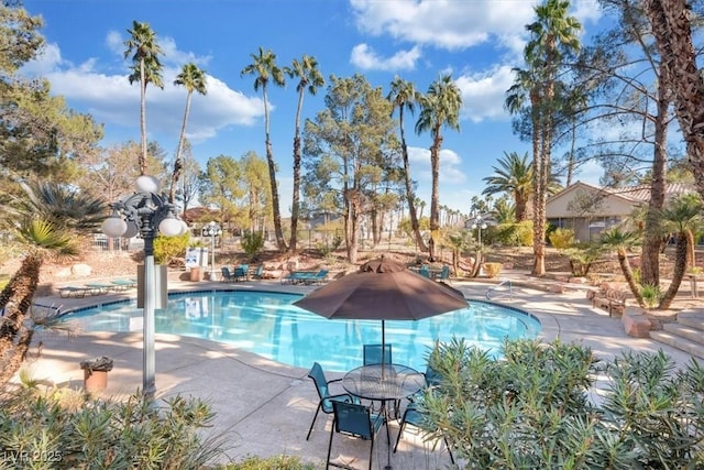 view of pool featuring a patio