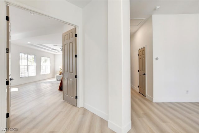 hall with light hardwood / wood-style flooring