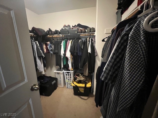 walk in closet with carpet flooring