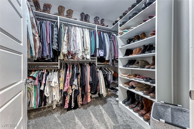 walk in closet featuring carpet floors