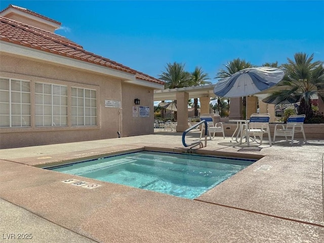 view of pool featuring a patio area