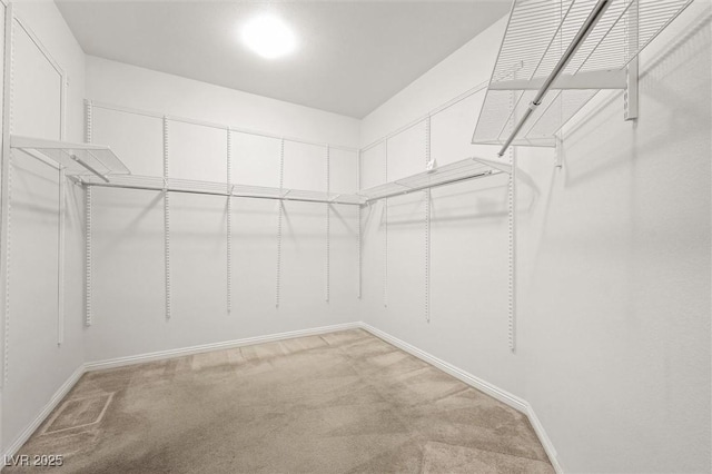 spacious closet with light colored carpet