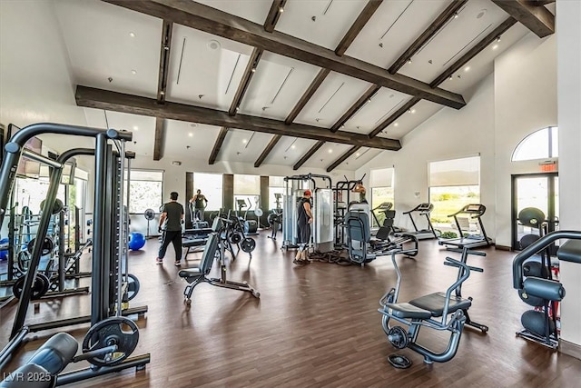 exercise room with high vaulted ceiling and hardwood / wood-style flooring