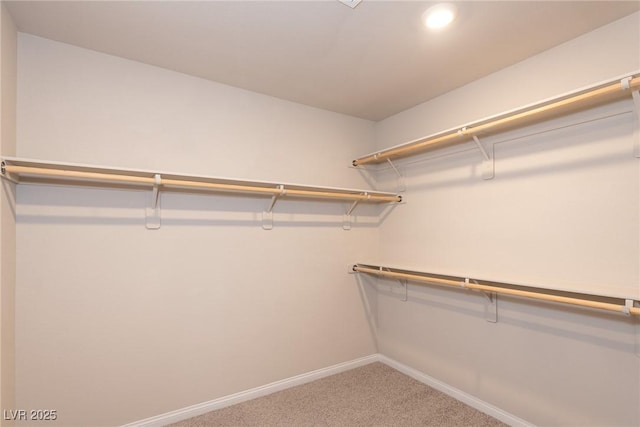 spacious closet with carpet flooring