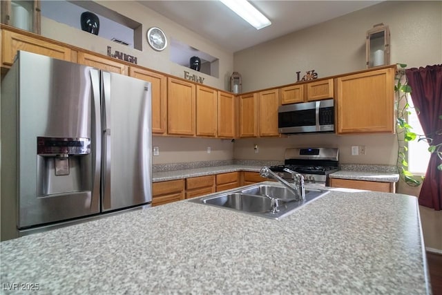 kitchen with stainless steel appliances and sink