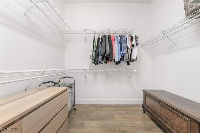 walk in closet featuring light hardwood / wood-style floors