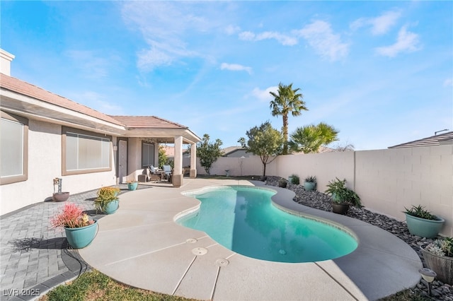 view of pool with a patio area