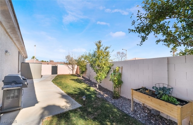 view of yard with a storage unit