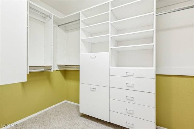 walk in closet with light colored carpet