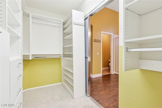 walk in closet with hardwood / wood-style floors