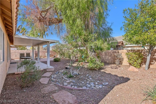 view of yard with a patio