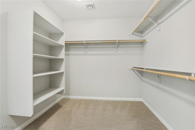 spacious closet featuring carpet floors