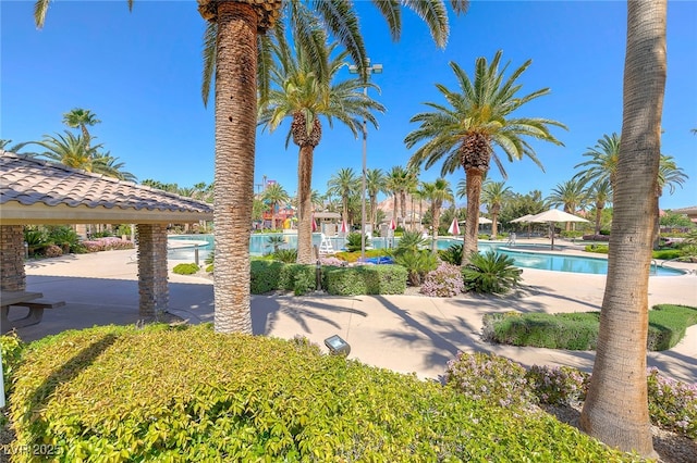 view of yard with a community pool and a patio