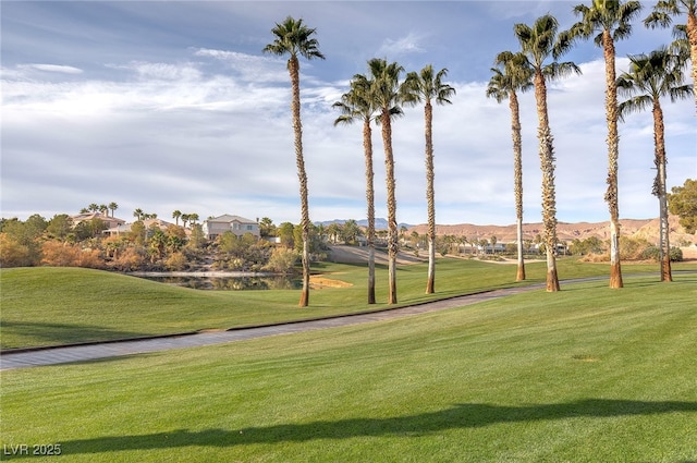 view of property's community featuring a mountain view and a yard