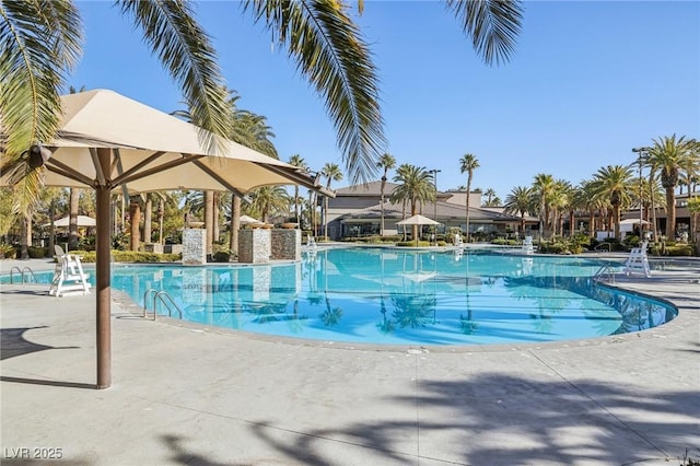 view of pool with a patio