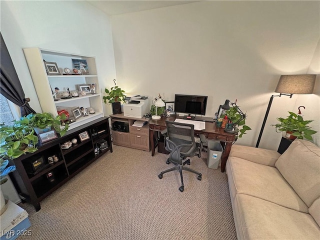 office with light colored carpet