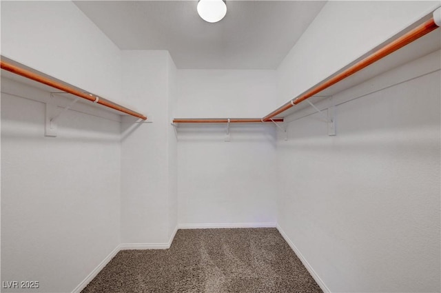 spacious closet with carpet floors