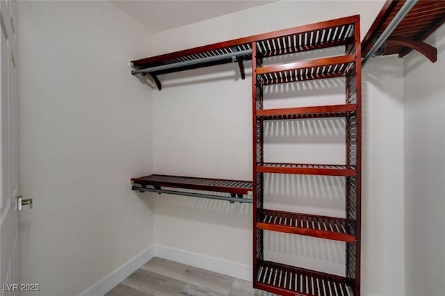 spacious closet with light hardwood / wood-style flooring