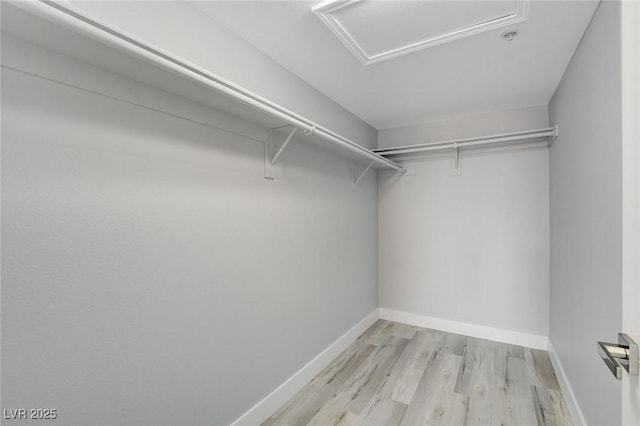 spacious closet with light wood-type flooring